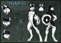Trake CS