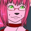 Commission 335