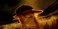 Amiamigo -final and widescreen-