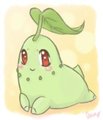 Chikorita