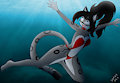 Commission Erika underwater