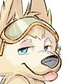 Zabivaka by Dandi