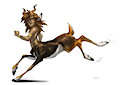 Black buck taur