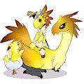 The Wonderous Chocobo Mage!