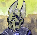 Tetrafibre Armour Tanor, July 10th, 2013 by TanorFaux