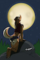 Halloween - WereWofly