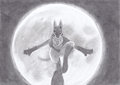 Moon Rising