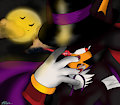 In The Night I rise