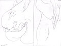 Thunder's Tiny Morsel 3/4