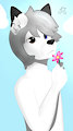 Sweet parfum by OddElsker