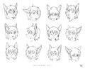 Ines head ref