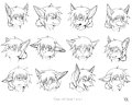 Elias head ref