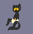 Magic Padding
