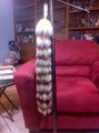 Tanuki Yarn Tail