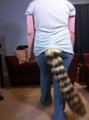 Look at that flow~
