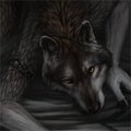 Fog by Blackpassion777