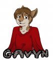 Anthrocon Themed Badge: Sample 07 