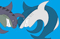 Fighting Sharks