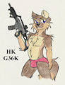 Martial Pinups: HK G36K