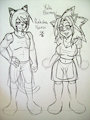 The Parents of the Heroes (WiP)