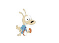 Rocko