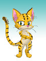 Wattacat 0.1
