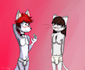 panties or briefs ?