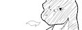 [Miiverse] Charmander