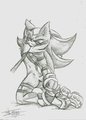 Ooooh my Shadow... by Mimy92Sonadow
