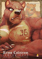 The Bear