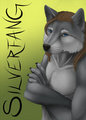 Badge SilverFang