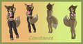 Constance Ref Sheet by ryanwolf