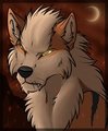 Arcanine fanart