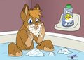 Bath Time! by TrippPup