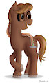 Coffee Pony