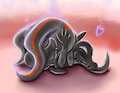 Salandit Pheromones