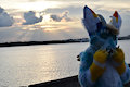 Personal - Sunlit Evenings