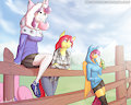 cmc relaxing