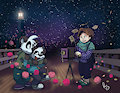 Lullaby of stars