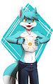 Flag foxcat ☼