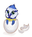Hatchling
