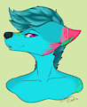 Delmi Raffle Prize