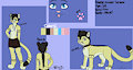 Xander Reference Sheet (Old) by XanderGreene