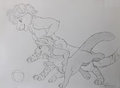 Playing ball