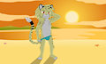 Lucas The Cheetah
