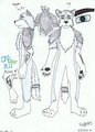 Wing Wolf Fursuit V2 Part.1 by wonghusky2