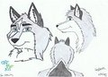 Wing Wolf Fursuit V2 Part.2 by wonghusky2