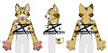 Blond Cat Partial Concept