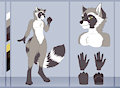 [c] Raccoon ref sheet