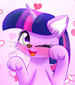 Twilight The Cat